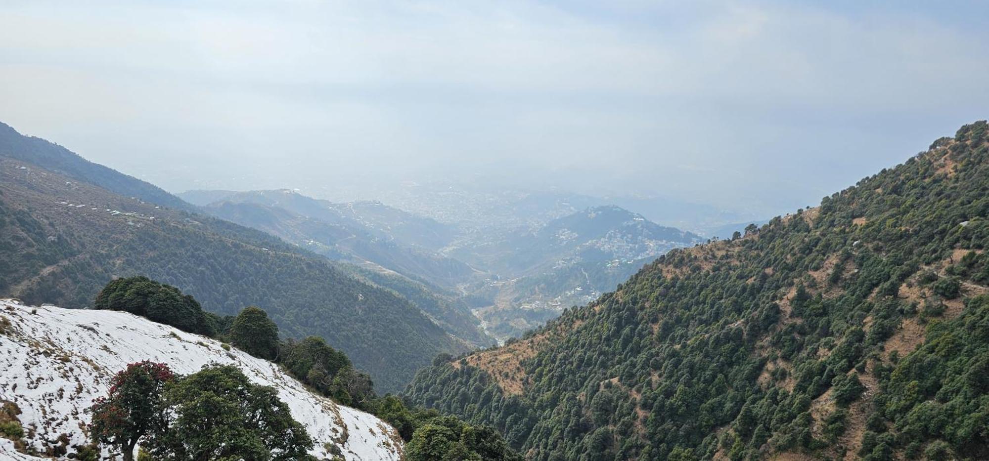 Hotel Starwud Kotagge McLeod Ganj Dış mekan fotoğraf